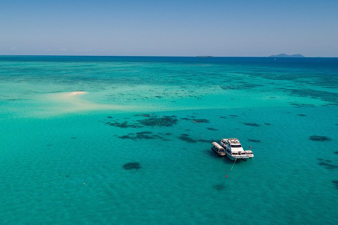 Ocean Freedom Great Barrier Reef Luxury Snorkel and Dive Cruise - Lunch, snacks, and the practical comforts