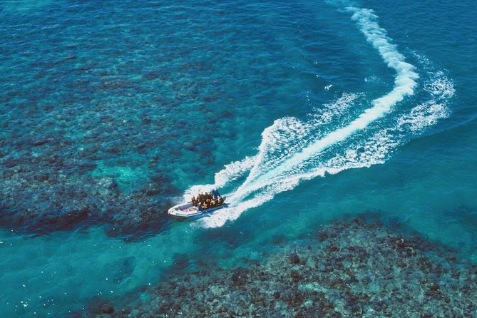 Ocean Freedom Great Barrier Reef Luxury Snorkel and Dive Cruise - How the weather can change the experience