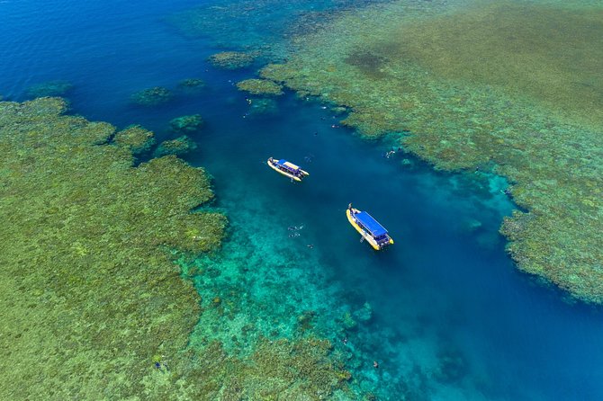 Ocean Rafting: Whitehaven Beach, Snorkelling & Hill Inlet Lookout - Snorkeling on the inner fringing reefs