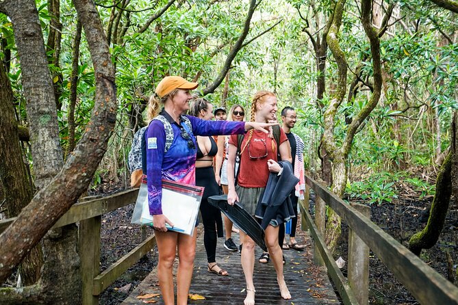 Ocean Safari Great Barrier Reef Experience in Cape Tribulation - How much value you get for $148.47