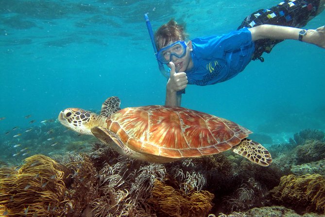 Ocean Spirit Sail to Michaelmas Cay Snorkel or Dive, from Cairns - Reaching the cay and hearing the reef briefing