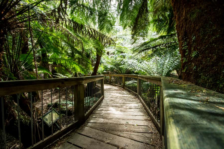 Oceans to Mountains Explorer: 3-Day Great Ocean Road Tour - Accommodation, meals, and what the price really covers