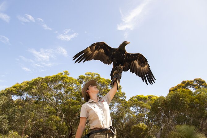 One Day Kangaroo Island Sip & See tour with return ferry transfers from Adelaide - What this Kangaroo Island day trip really involves