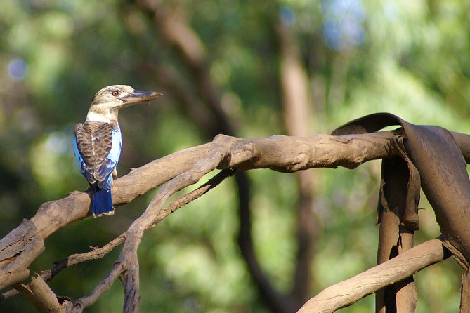 Ord River Cruise Experience with Riverside Lunch - Guides who make the difference