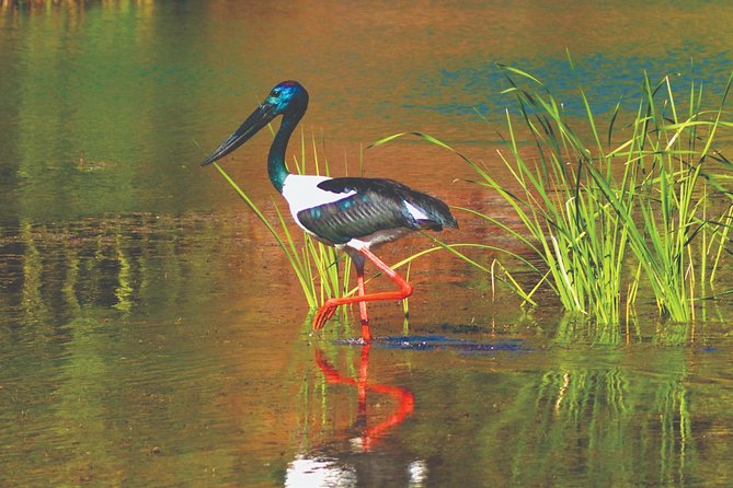Ord River Explorer Cruise with Sunset - The final 15 kilometres to the Ord Top Dam