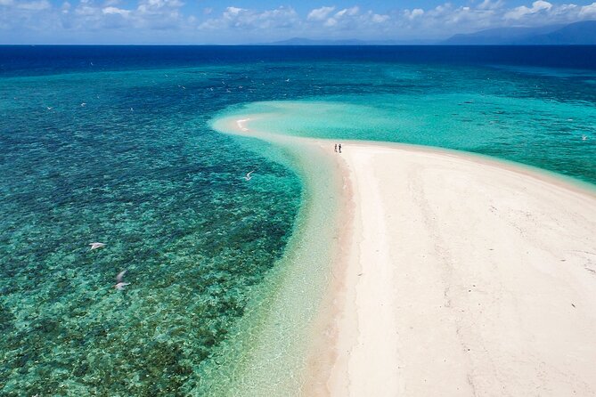 Outer Reef Mackay Cay Sail & Snorkel Adventure from Port Douglas - Coral, turtles, giant clams, and luck