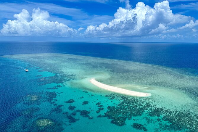 Outer Reef Mackay Cay Sail & Snorkel Adventure from Port Douglas - Snorkeling over coral gardens