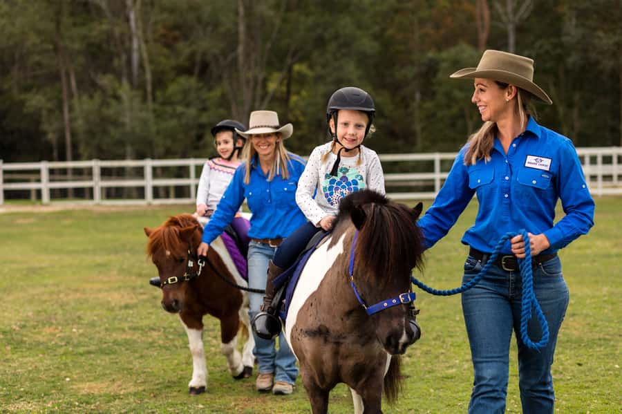 Paradise Country: Ultimate Aussie Farm Experience - Who will enjoy Paradise Country most