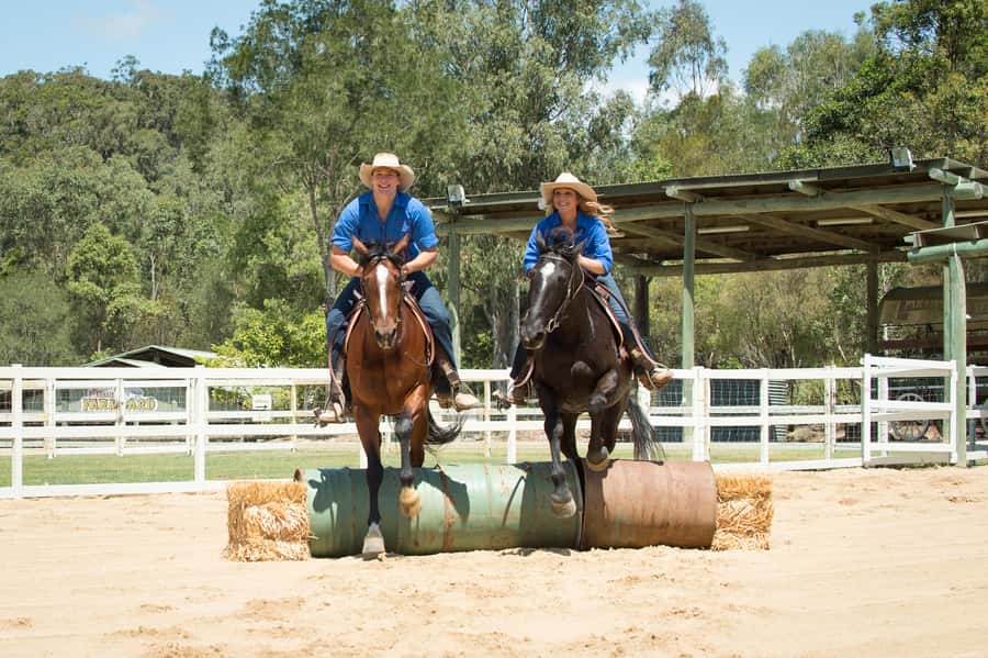 Paradise Country: Ultimate Aussie Farm Experience - The tractor experience and pacing your visit