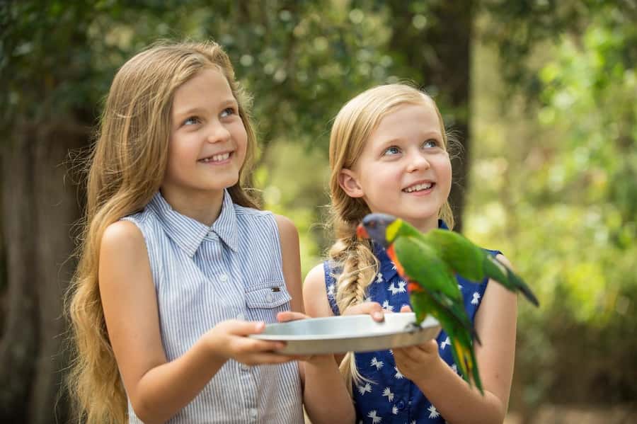 Paradise Country: Ultimate Aussie Farm Experience - Arriving at Production Drive in Oxenford