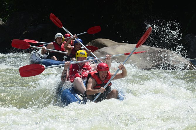 Paronella Park Admission Ticket - The castle, bridges, and Mena Creek Falls
