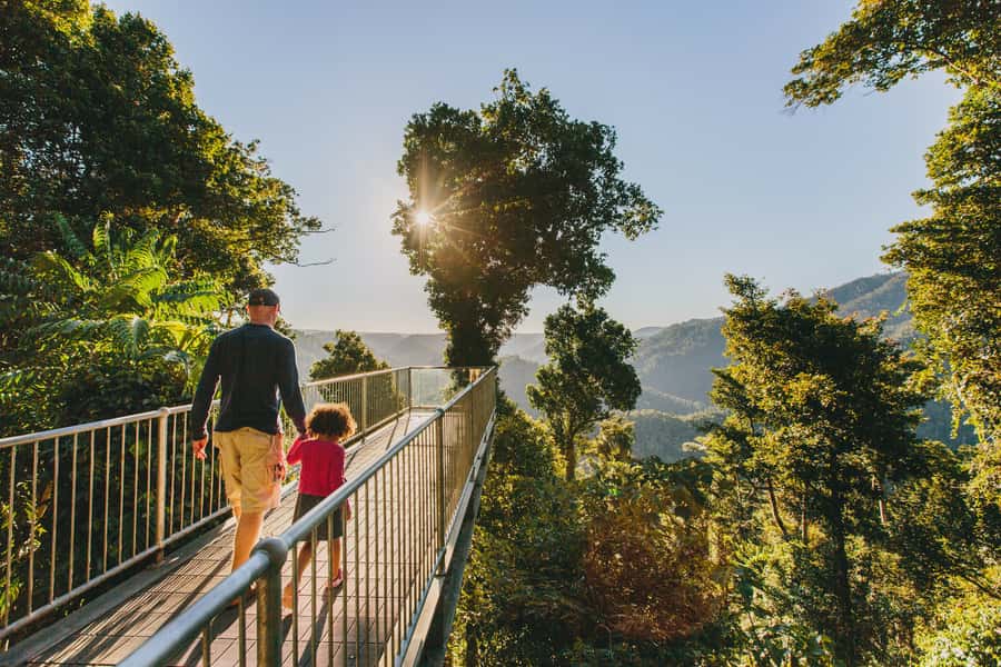 Paronella Park and Mamu Tropical Skywalk Ticket Combo - Starting at Mamu Tropical Skywalk