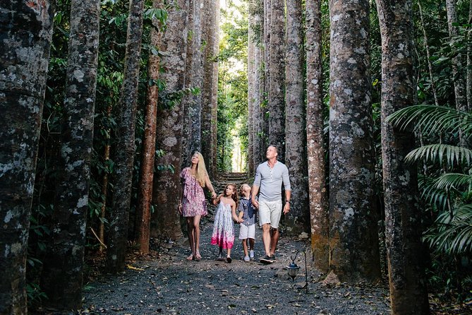 Paronella Park and Millaa Millaa Falls Full-day Tour from Cairns - Key points to know before booking