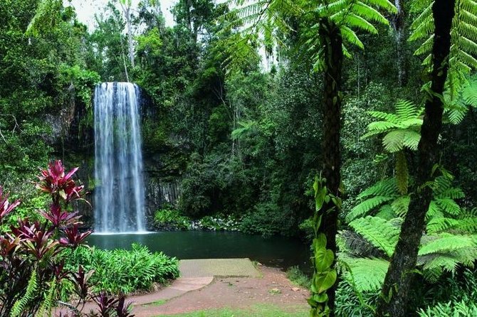 Paronella Park and Millaa Millaa Falls Full-day Tour from Cairns - The guide can shape the whole experience