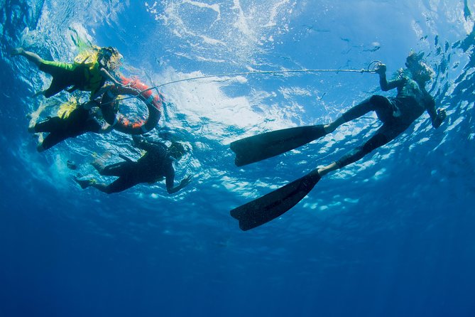 Passions of Paradise Great Barrier Reef Cruise by Catamaran - Snorkeling help for beginners and nervous swimmers