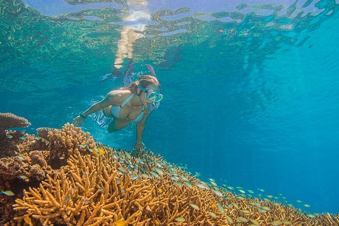 Passions of Paradise Great Barrier Reef Cruise by Catamaran - Introductory scuba and certified scuba options