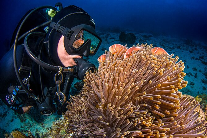 Passions of Paradise Great Barrier Reef Cruise by Catamaran - Marine science that adds meaning to the reef visit