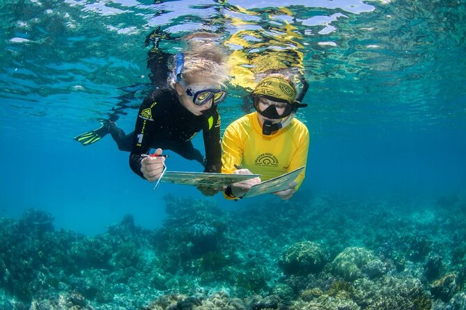 Passions of Paradise Great Barrier Reef Cruise by Catamaran - Two reef stops chosen for the day