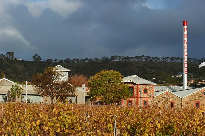 Penfolds Magill Estate Iconic Experience - Why Magill Estate matters
