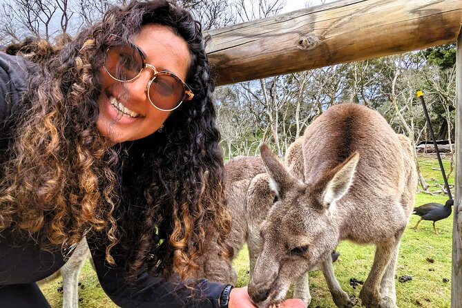 Penguin Parade, & Wildlife Encounters Eco Tour from Melbourne - Moonlit Sanctuary: the wildlife center of the day