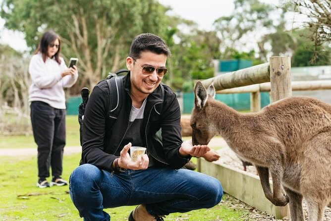 Penguin Parade, & Wildlife Encounters Eco Tour from Melbourne - Cowes and the evening meal break