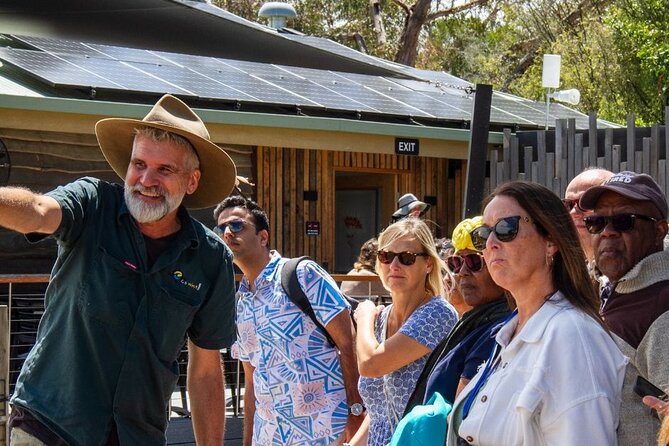 Penguin Parade, & Wildlife Encounters Eco Tour from Melbourne - The Nobbies and Seal Rocks