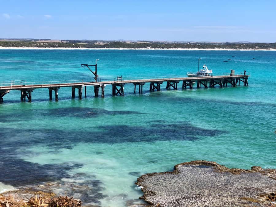 Penneshaw: Shore Excursion Kangaroo Island Scenic Tour - Bus comfort, group size, and lunch