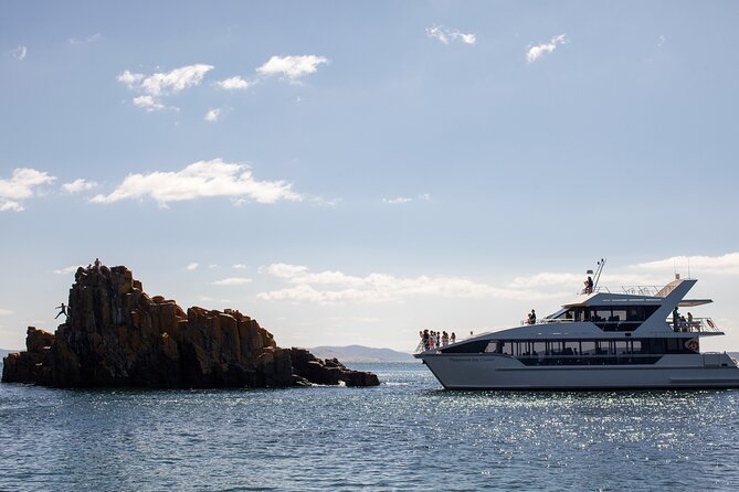 Peppermint Bay Cruise & Lunch - The Derwent River opens toward Bruny Island