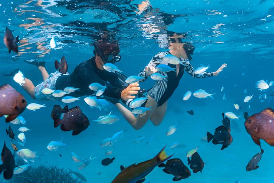 Perth: 7 Day Exmouth Explorer & Ningaloo Reef Return Perth - Days two and three: Kalbarri’s gorge country