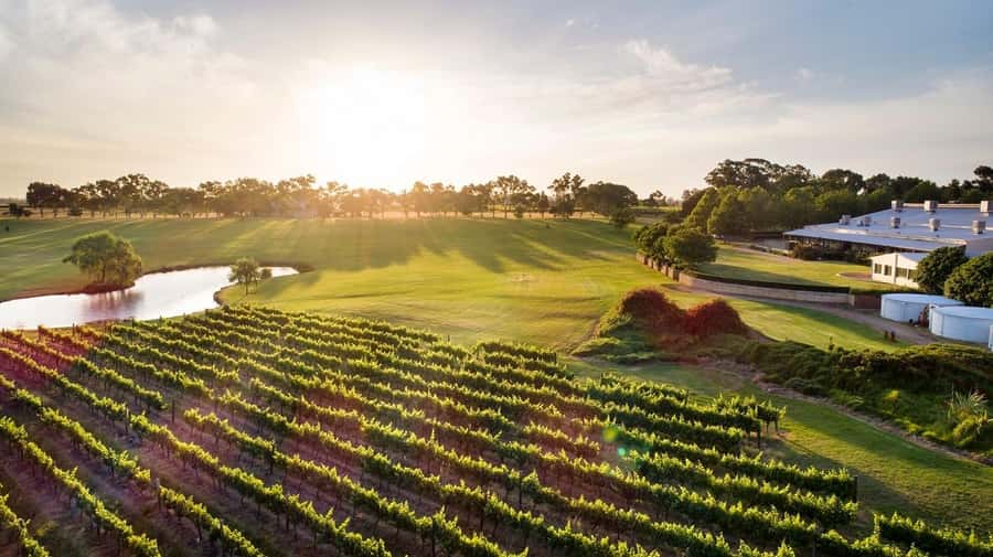 Perth: Full Day Swan Valley Cruise & Wine Tasting With Lunch - Starting with a Swan River cruise from Perth