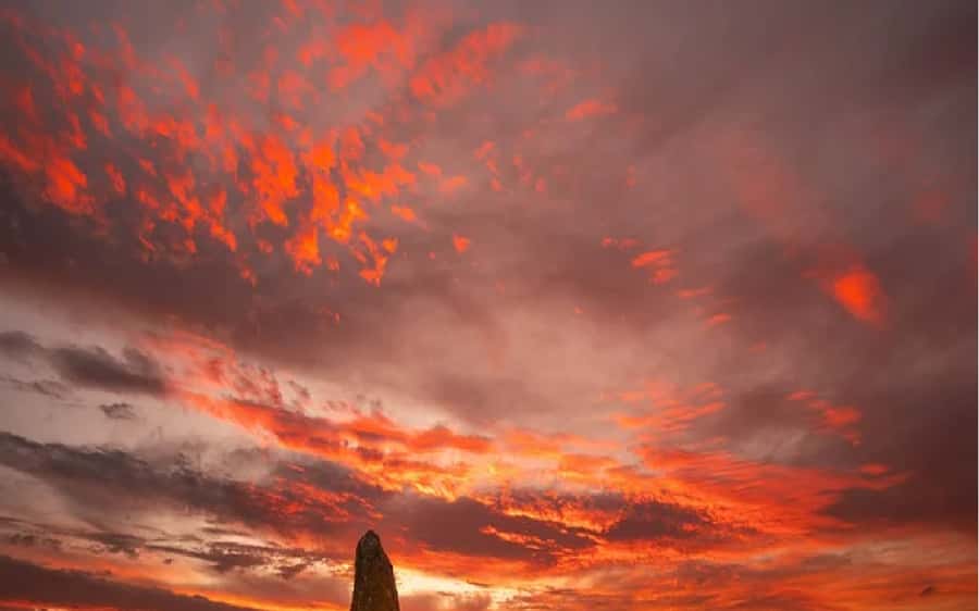 Perth: Pinnacles Desert Sunset & Stargazing with Dinner - Key points to know before booking