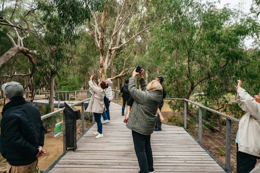 Perth: Pinnacles Desert Sunset & Stargazing with Dinner - What to bring and how to prepare