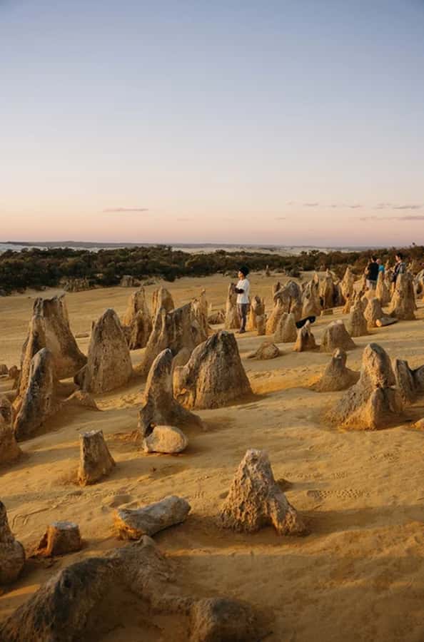 Perth: Pinnacles Desert Sunset & Stargazing with Dinner - Price, comfort, and who gets good value