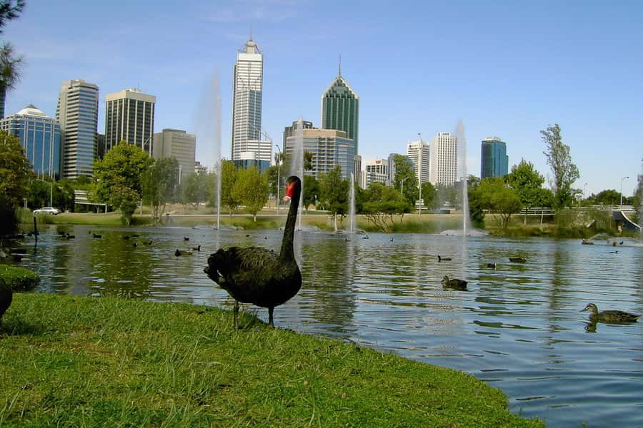 Perth Riverside Segway Tour - Why a Segway works well on Perth’s riverfront