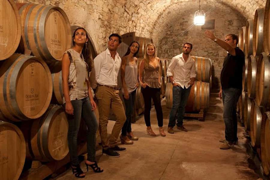 Perth VIP Swan Valley Wine Tour - Premium Small Group Tour - Chocolate and gourmet food at the final stop