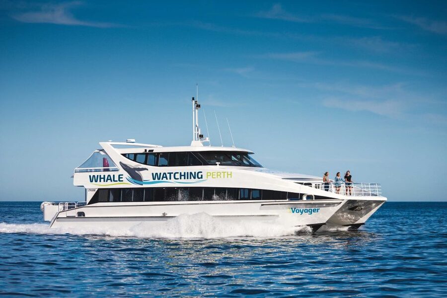 Perth: Whale Watching Cruise from Hillarys Boat Harbour - The marine biologist adds real value