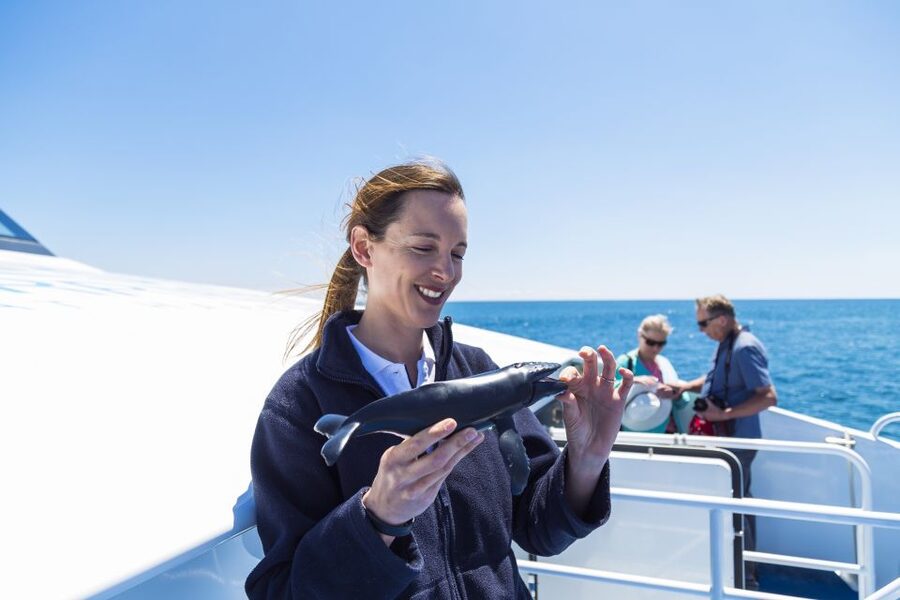 Perth: Whale Watching Cruise from Hillarys Boat Harbour - Who will enjoy this cruise most?