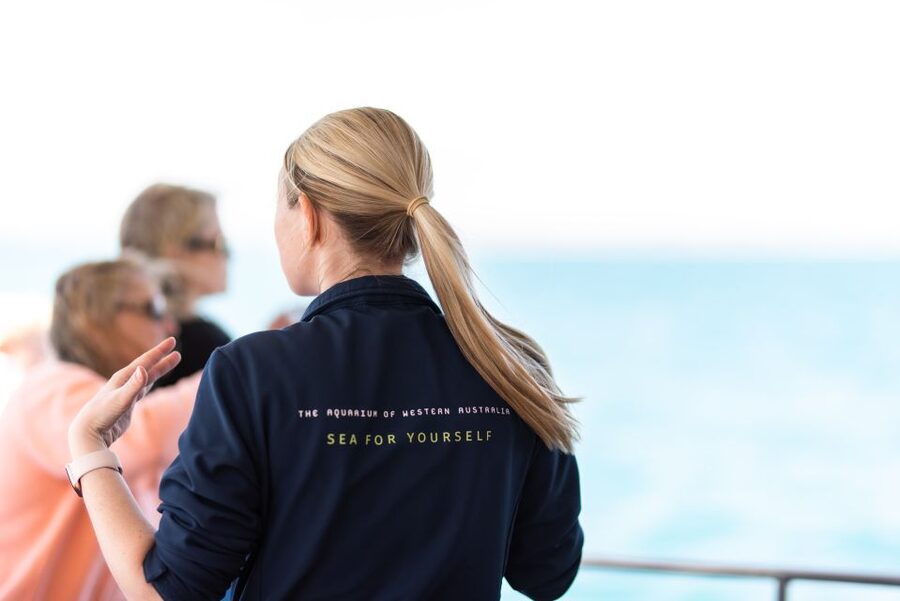 Perth: Whale Watching Cruise from Hillarys Boat Harbour - Practical tips for a better outing