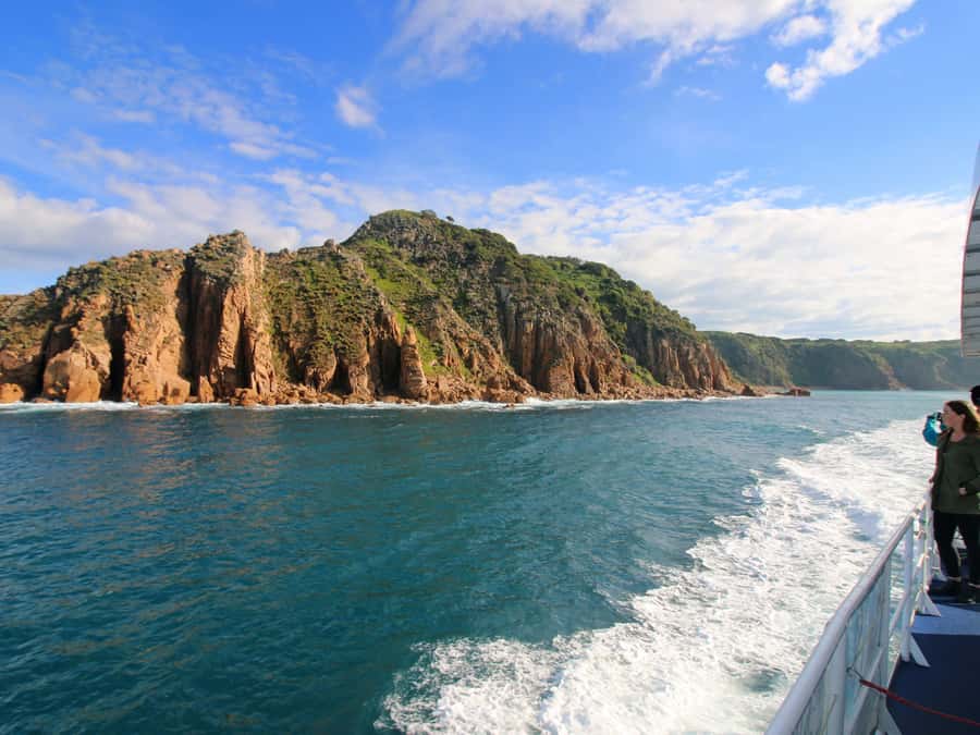 Philip Island: Dolphin and Whale Cruise - Who will enjoy this Phillip Island wildlife trip?
