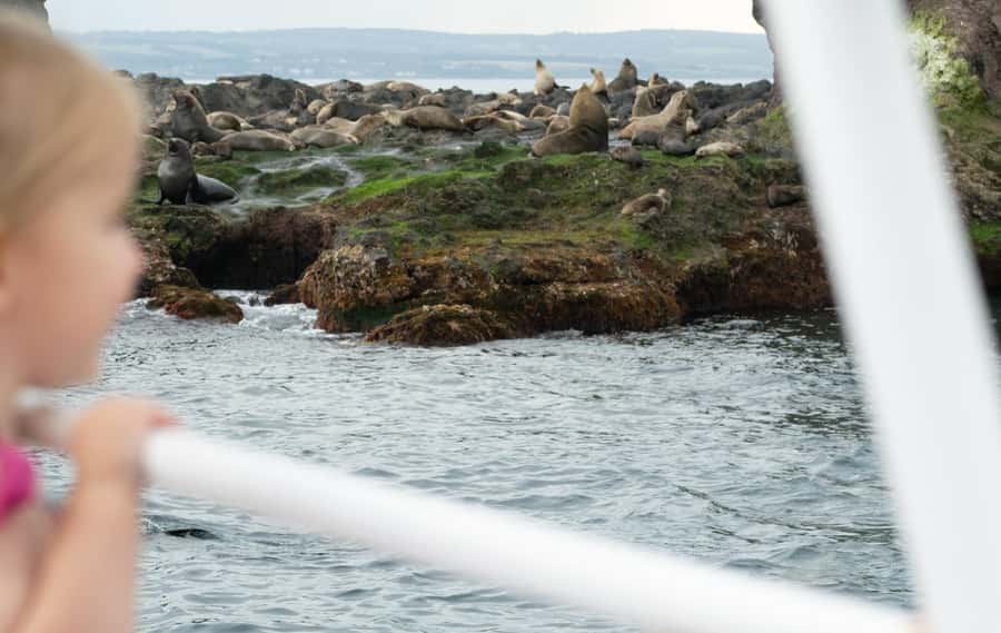 Philip Island: Seal Watching Cruise - A comfortable boat with useful extras
