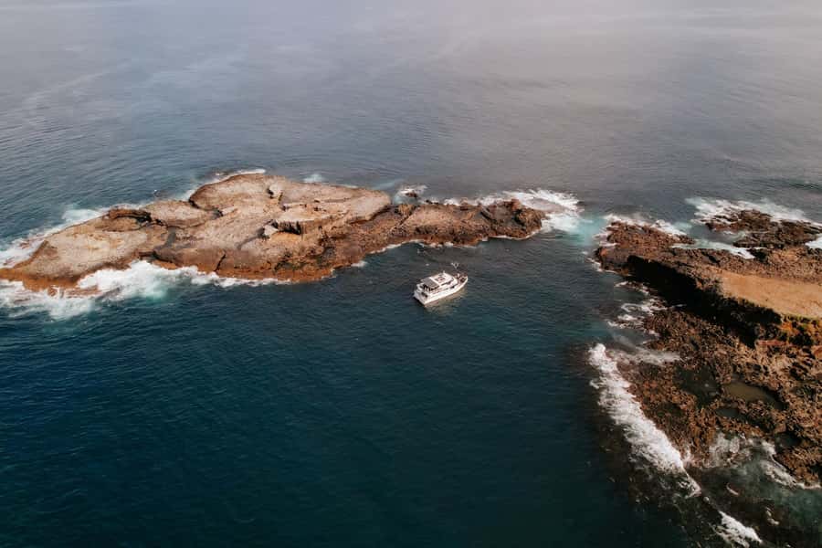 Philip Island: Seal Watching Cruise - Handling sea conditions and motion sickness