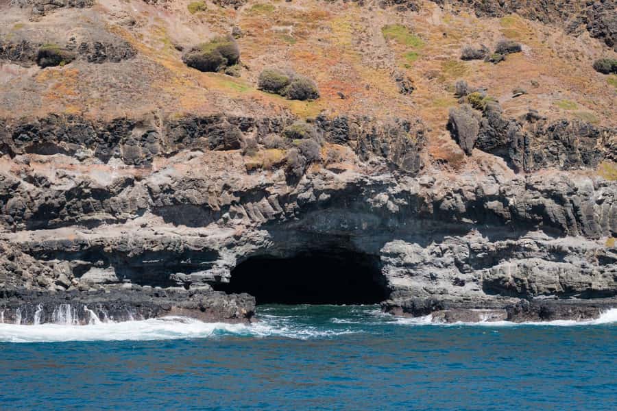 Philip Island: Seal Watching Cruise - Is $81 good value?