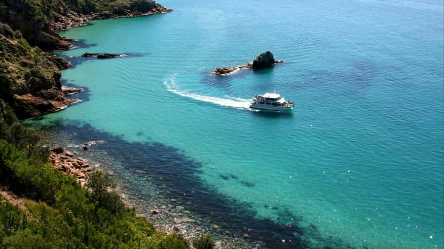 Phillip Island: 1-Hour Cape Woolamai Scenic Cruise - Watching for cormorants, gannets, seals, and dolphins