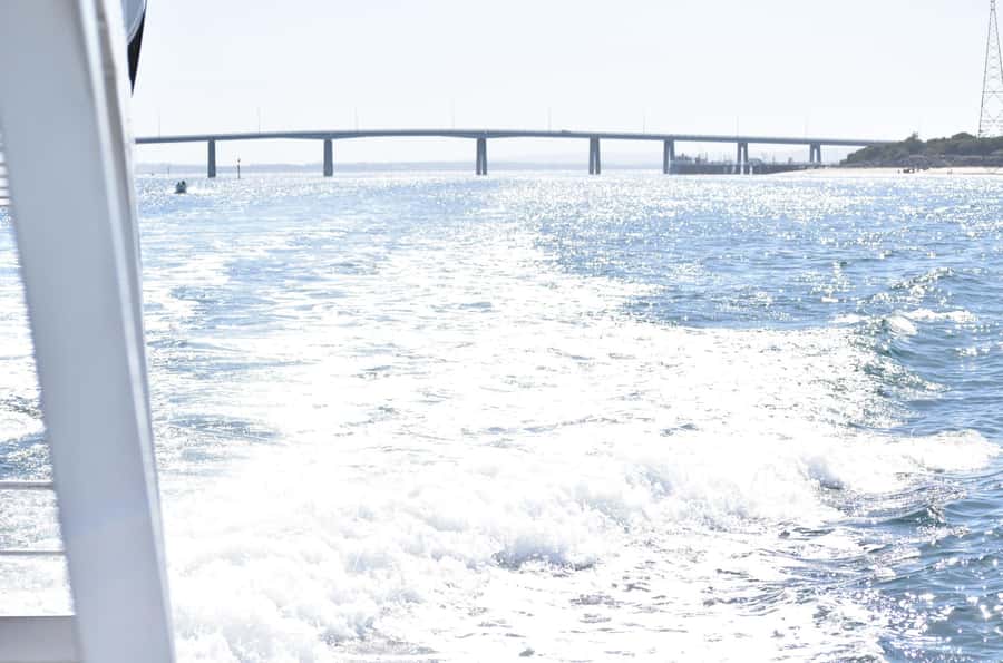 Phillip Island: 1-Hour Cape Woolamai Scenic Cruise - Tea, coffee, and cake on the water