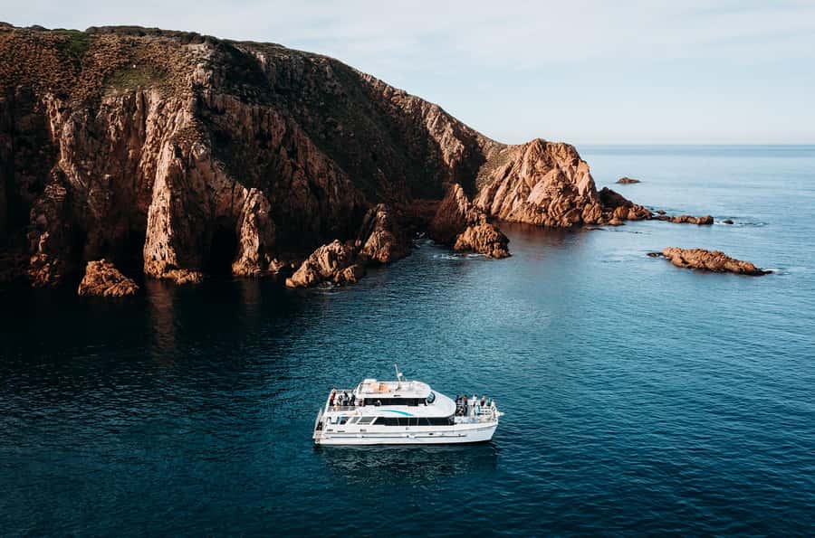 Phillip Island: 1-Hour Cape Woolamai Scenic Cruise - Who will enjoy this cruise most?
