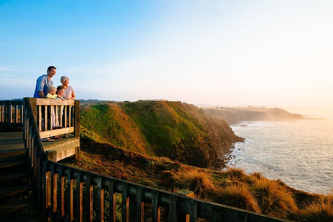 Phillip Island Day Trip from Melbourne with Penguin Plus Viewing Platform - Why the Penguin Parade is worth the journey
