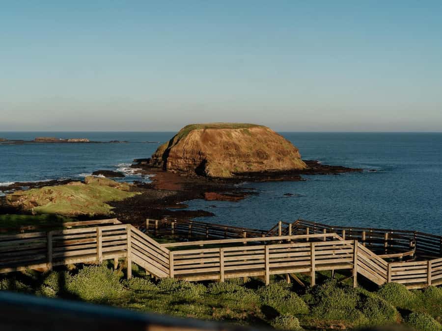 Phillip Island: Golden Hour Penguin Express Tour - Who will get the most from this evening?