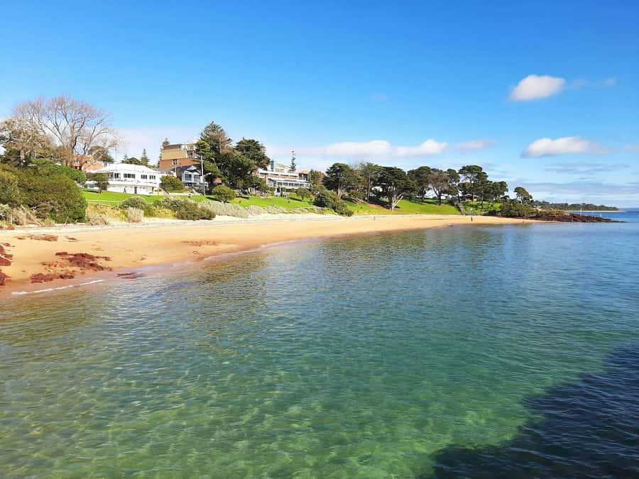 Phillip Island: Golden Hour Penguin Express Tour - Practical details before you reserve