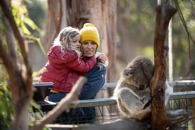 Phillip Island Penguin and Koala Highlights Day-Trip from Melbourne - Cowes gives you a proper break