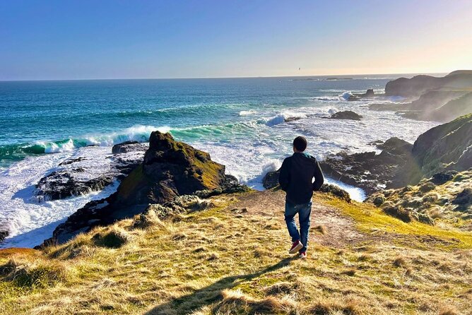 Phillip Island & Penguin Parade Afternoon Eco Tour from Melbourne - Key points at a glance